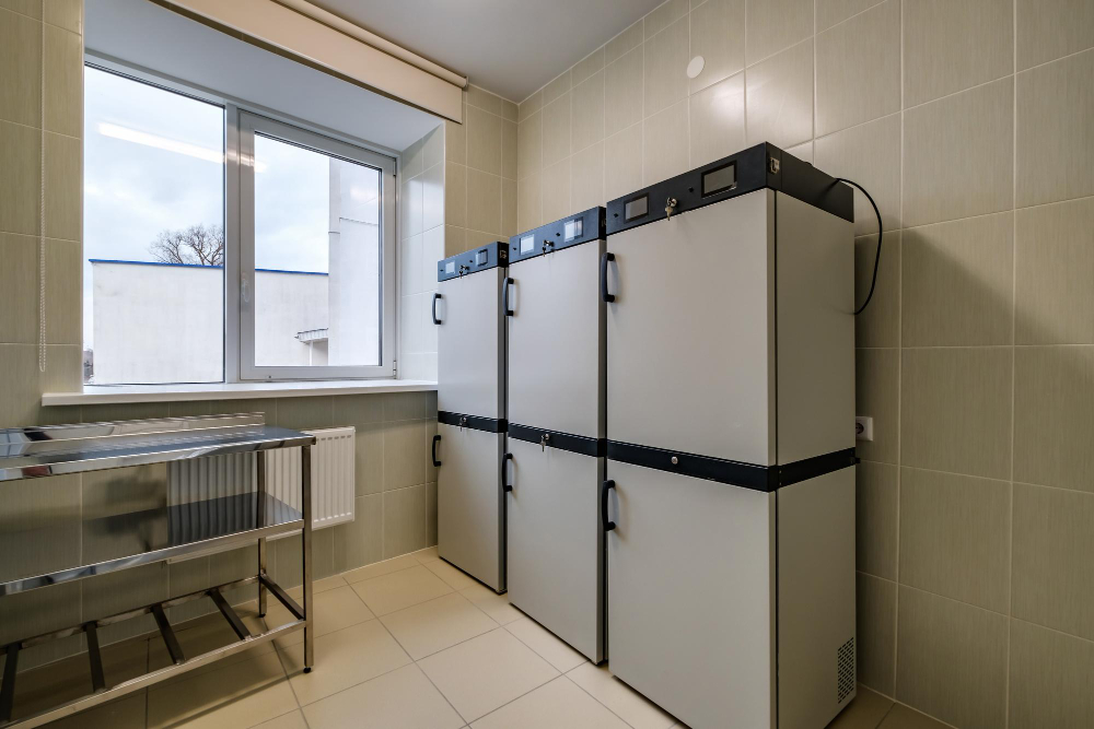 For your compact Bosch undercounter fridges or freezers, we troubleshoot and repair cooling problems, thermostat issues, or drainage faults, ensuring efficient space-saving refrigeration.